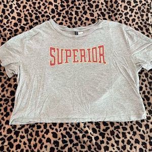 Superior crop top